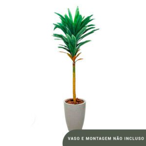 Planta de Chão Dracena Frangans – 170CM