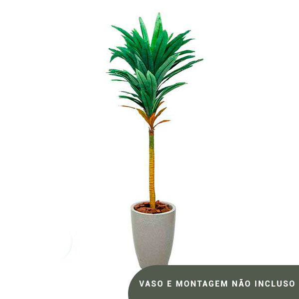 Planta de Chão