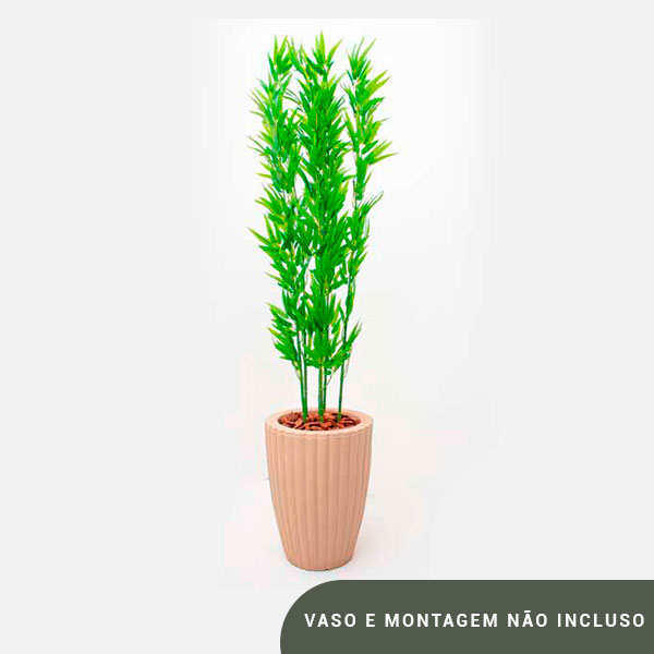Planta de Chão Bambu