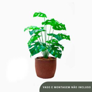 Planta de Chão Costela de Adão – 63CM