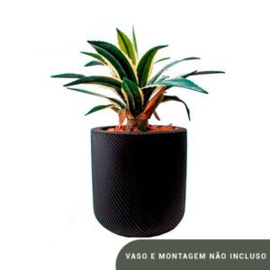 Planta de Chão Agave – 45CM