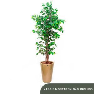 Planta de Chão Ficus – 210CM