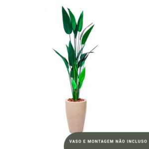 Planta de Chão Estrelicia – 180CM