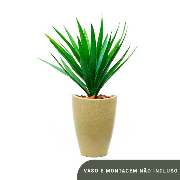 Planta de Chão