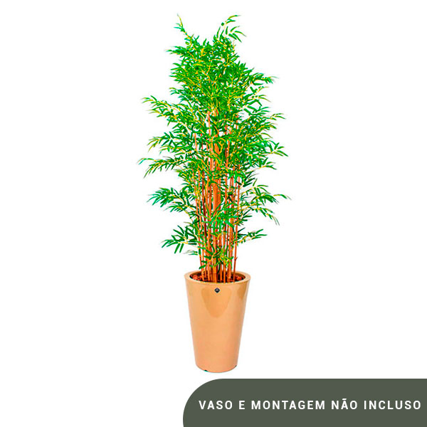 Planta de Chão