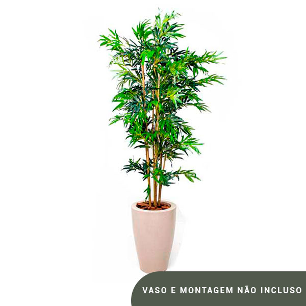Planta de Chão