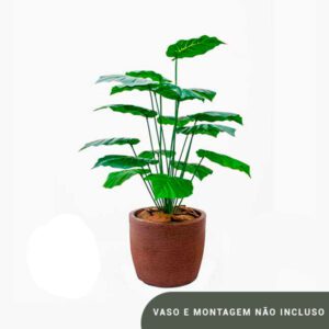 Planta de Chão Costela de Adão – 63CM