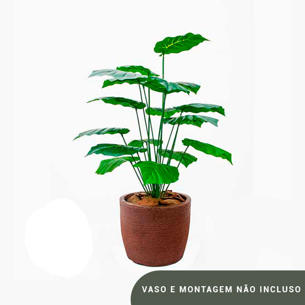 Planta de Chão