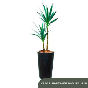 Planta de Chão Yucca – 120CM