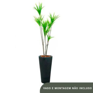 Planta de Chão Dracena – 160CM