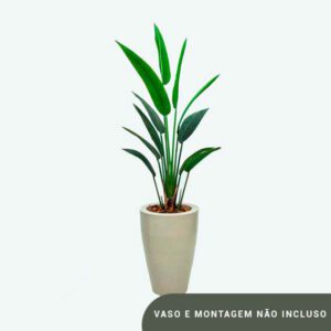 Planta de Chão Estrelícia – 155CM