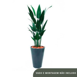 Planta de Chão Estrelicia – 160CM