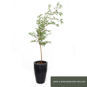 Planta de Chão Bambu Mosso – 250CM