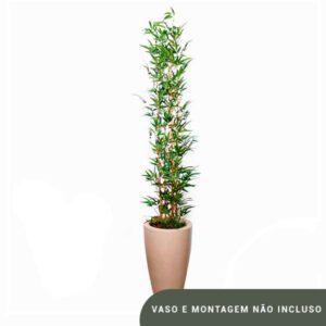 Planta de Chão Bambusa – 180CM
