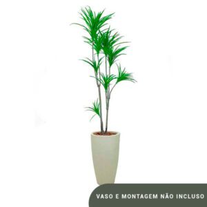Planta de chão Dracena – 195CM