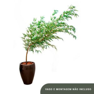 Planta de Chão Bambu Mosso – 400CM