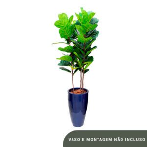Planta de Chão Ficus Lyrata – 180CM