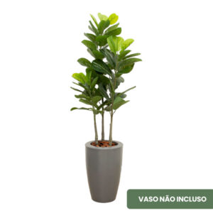 Planta de Chão Ficus Lyrata 120CM