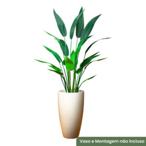 Planta de Chão Estrelícia – 120CM