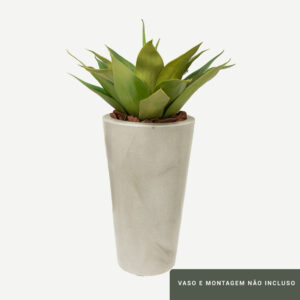 Planta de Chão Agave – 56CM