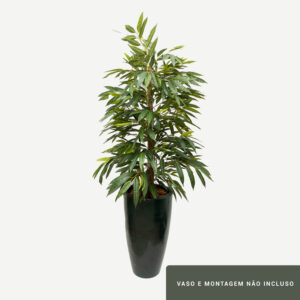 Planta de Chão Acácia – 170CM