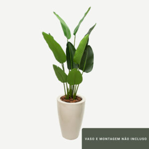 Planta de Chão Estrelícia – 150CM
