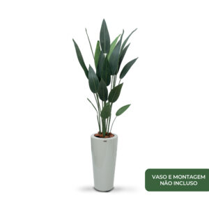 Planta de Chão Estrelícia – 120CM
