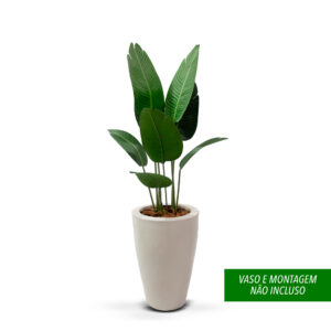 Planta de Chão Bananeira 120CM