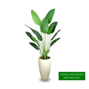 Planta de Chão Bananeira – 185CM