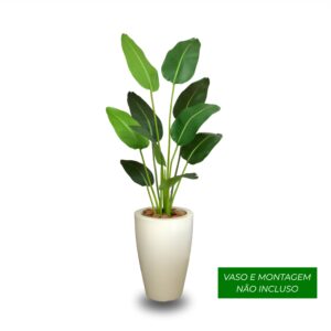 Planta de Chão Bananeira – 150CM