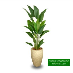 Planta de Chão Estrelícia – 150CM