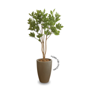 Planta de Chão Sete Estrelas – 120CM