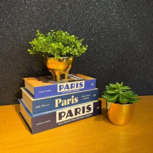 Kit Decorativo com Arranjos de Planta Artificial e Livros Caixa